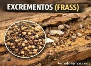 Excrementos de termitas (Frass)